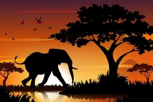 An elephant in the sunset with a sunset background vector