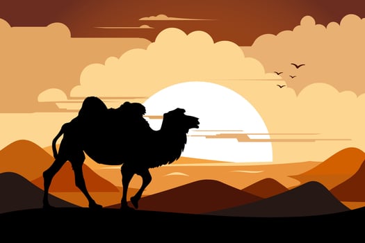 Silhouette of a camel and the sunset vector