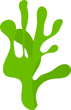 Sea grass illustration png