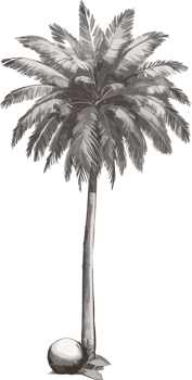 Palms of Peace Coconut Tree Artistry to Enrich Your Space AI Generative png