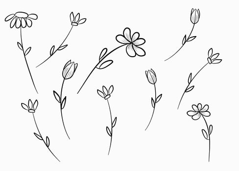 Cute Flower Mini Doodle Vector Line Art with Color