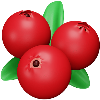 Cranberry 3d rendering isometric icon. png