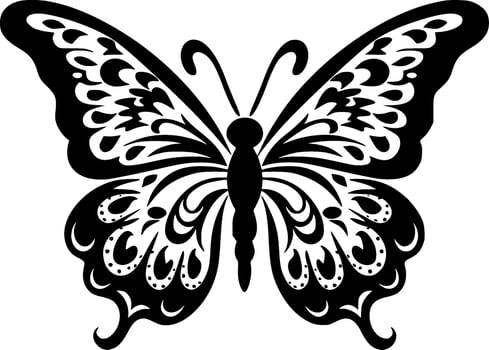 Butterfly, Black and White Vector illustration
