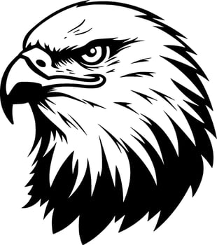Eagle, Black and White Vector illustration