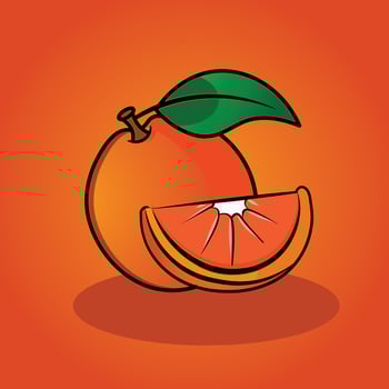 Orange vector illustration