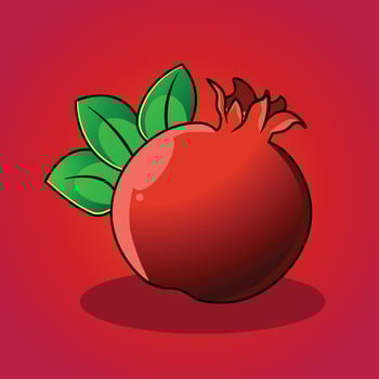 Pomegranate vector illustration