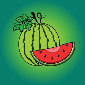 Watermelon fruit vector illustration