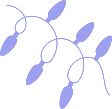 Lights christmas decoration and design. png