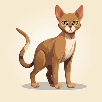Abyssinian cat vector