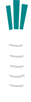 a white radish png