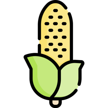 Corn icon design png