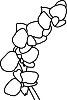 sketch of orchid flower vector