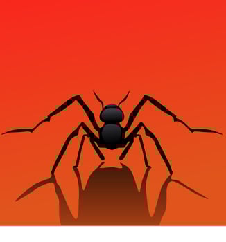 Ant animal vector logo black color on red orange background