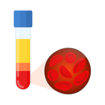 Red Blood Cell White Blood Cell  Generative Ai png