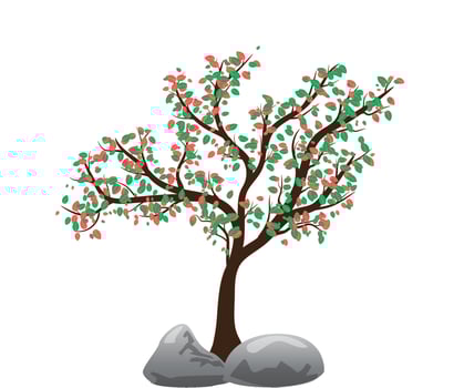 Vector illustration of a tree with leaves on a white background