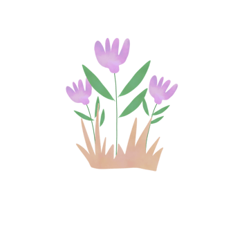 colorful beauty flower png