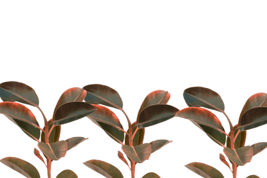 Leaf png download transparent background download