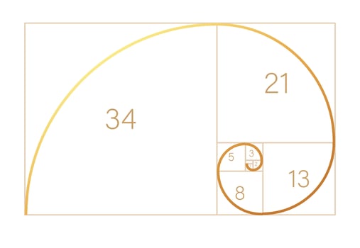 Abstract illustration with golden ratio on black background. Spiral pattern. Line drawing. Vector illustration.