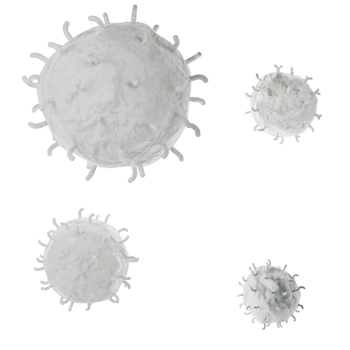White blood cell 3d realistic icon analysis. Leukocytes medical illustration isolated transparent png