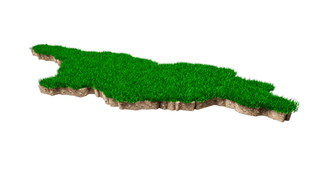 Georgia map soil land geology cross section with green grass 3d illustration png