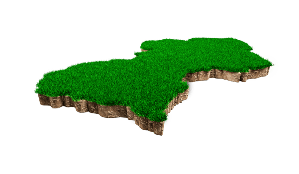 Guyana Map soil land geology cross section with green grass and Rock ground texture 3d illustration png
