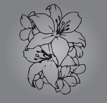 Floral Black and White Vector Pattern