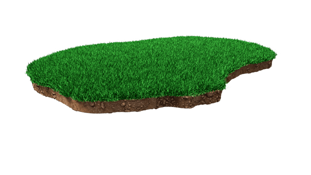 Nauru Map Grass and ground Map texture 3d illustration png