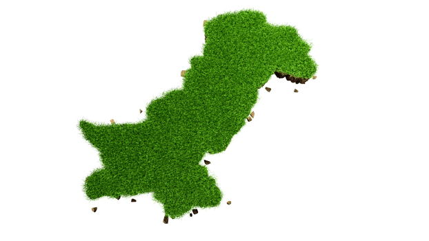 Pakistan Map 3d top view grass surface 14 august independence day 3d illustration png