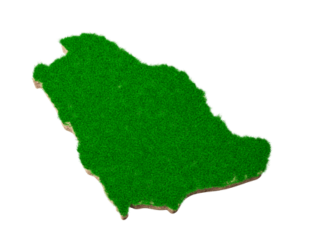 Saudi Arabia Map soil land geology cross section with green grass and Rock ground texture 3d illustration png