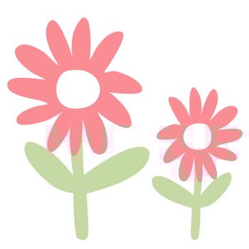 pink flowers are shown in a white background vector