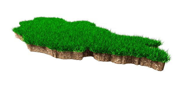 Mongolia Map soil land geology cross section with green grass and Rock ground texture 3d illustration png