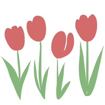 tulips are shown in a row vector