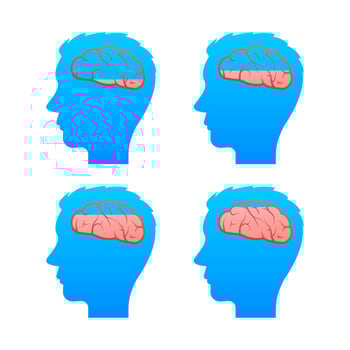 Loading Human brain medical. Internal organ. Neural network. Brainstorming, idea. vector
