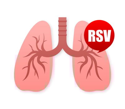 Lungs flat style. Vector illustration icon. Isolated vector illustration.Medical icon.