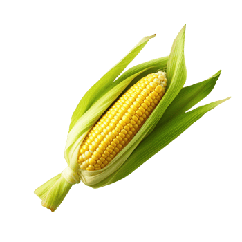 Corn, partially peeled off. AI generative. png