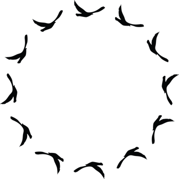 Flying birds silhouettes pattern wallpaper. PNG transparent. isolated bird flying. tattoo design. template for card, package, and wallpaper.