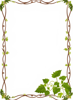 Vines Border Frame Ai Generative png