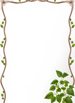 Vines Border Frame Ai Generative png