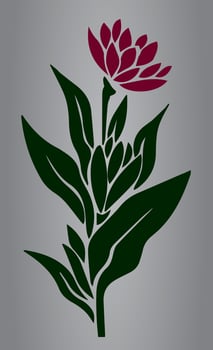 Single one flower Vector