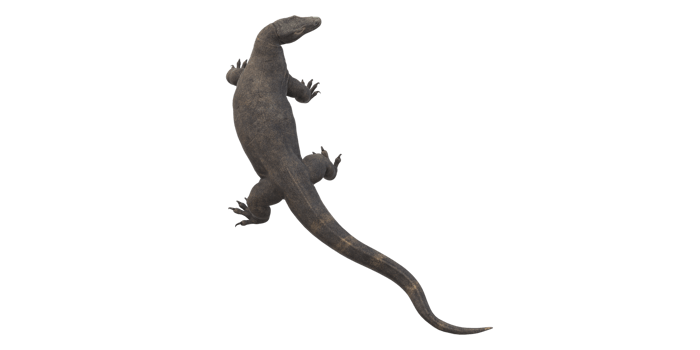 Comodo Dragon isolated on  a Transparent Background png