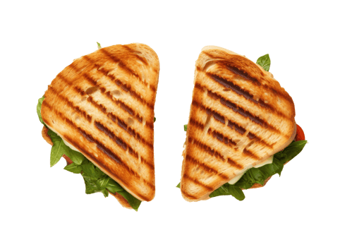 Grilled sandwich cut into pieces isolated png