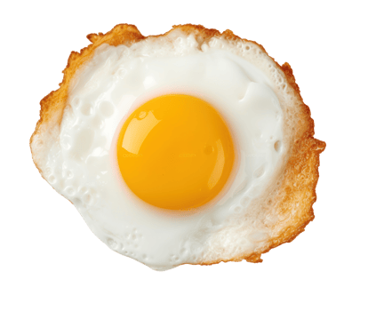 Fried egg isolated png