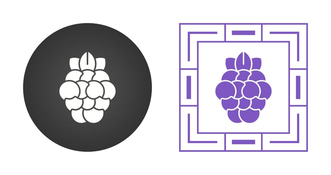Raspberry Vector Icon