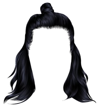 trendy hairs black brunette colors . kare with hun. beauty fashion.HALF-BUN vector