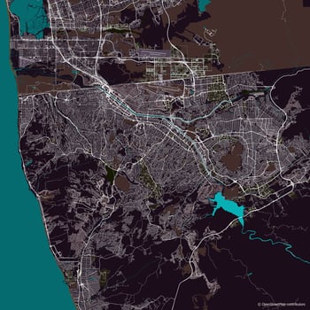 Vector city map of Tijuana, Baja California, Mexico