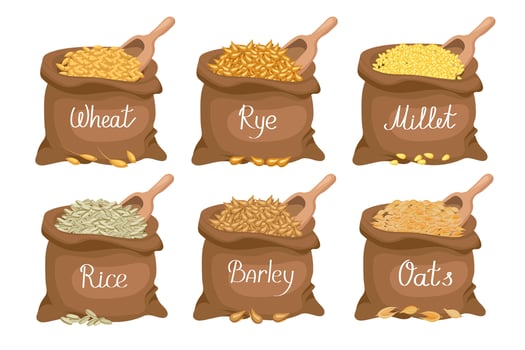 Cereals set. Linen bags with grains wheat, rye, oats, rice, barley, millet. Harvest, agriculture. Illustration, vector