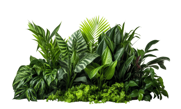 AI Generated Bushes consisting of various types of plants and wild leaves are arranged together against a transparent background. png