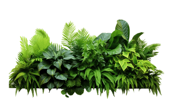 AI Generated Bushes consisting of various types of plants and wild leaves are arranged together against a transparent background. png