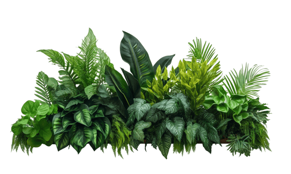 AI Generated Bushes consisting of various types of plants and wild leaves are arranged together against a transparent background. png