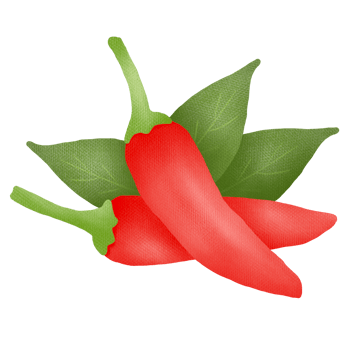 Hand drawn pepper drawing png